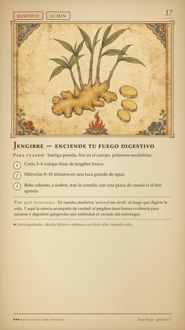Tarjeta del jengibre — página real del códice