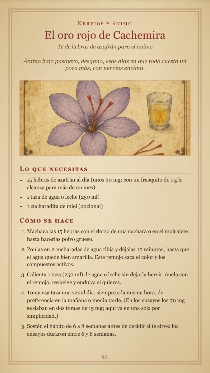 Una receta completa con su lámina